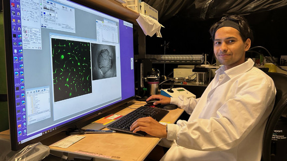 Kamal Naryana looks at preclinical model images.