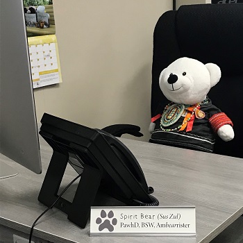 Photo of BSW spirit bear