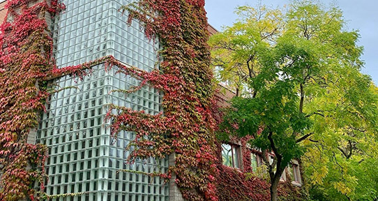HSD Building in Fall