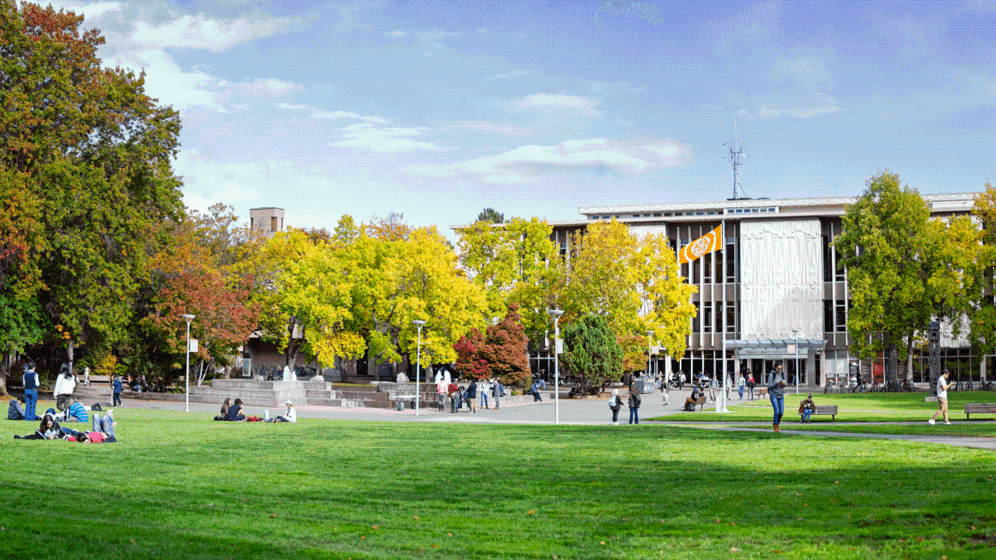 a scene of daily life at UVic from the perspective of the Quad (center of campus) looking towards the library on a late summer day 