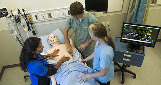 Students working on a dummy patient