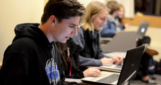 students studying on their laptops