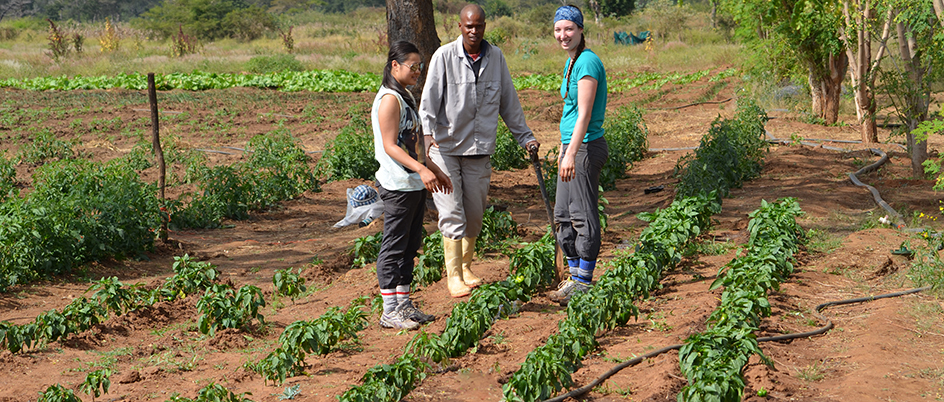 Students tending to a garden in South Africa