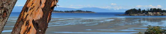 Qualicum CFP