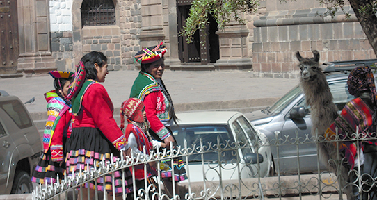 Several women, an alpaca, and vehicles in Cusco, Peru