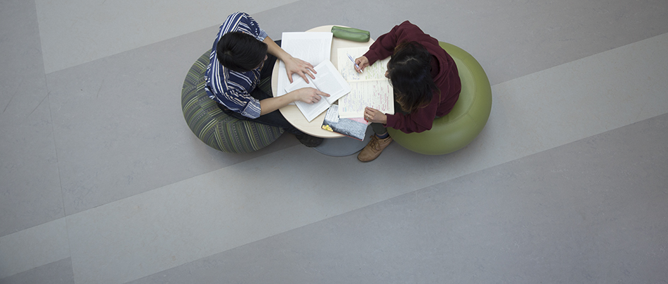 Overhead view of two people studying