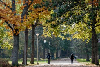 Open Seven scholars join Royal Society of Canada