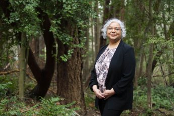 Open Finding common threads of Indigenous laws