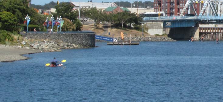 Kayaker in the harbour