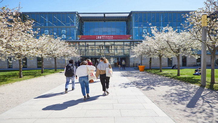 Cherry blossom trees line a pathway as students walk towards the entrance of Avignon University