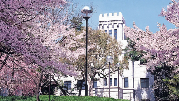 Cherry blossoms at Konan University