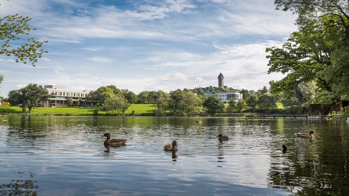 water view with ducks