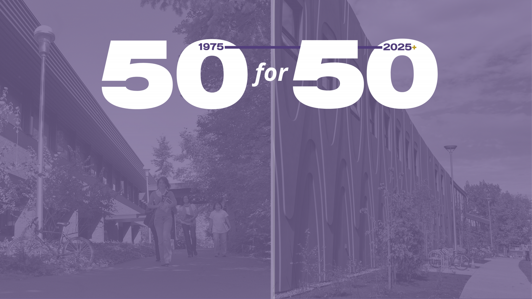 50 for 50 campaign image 