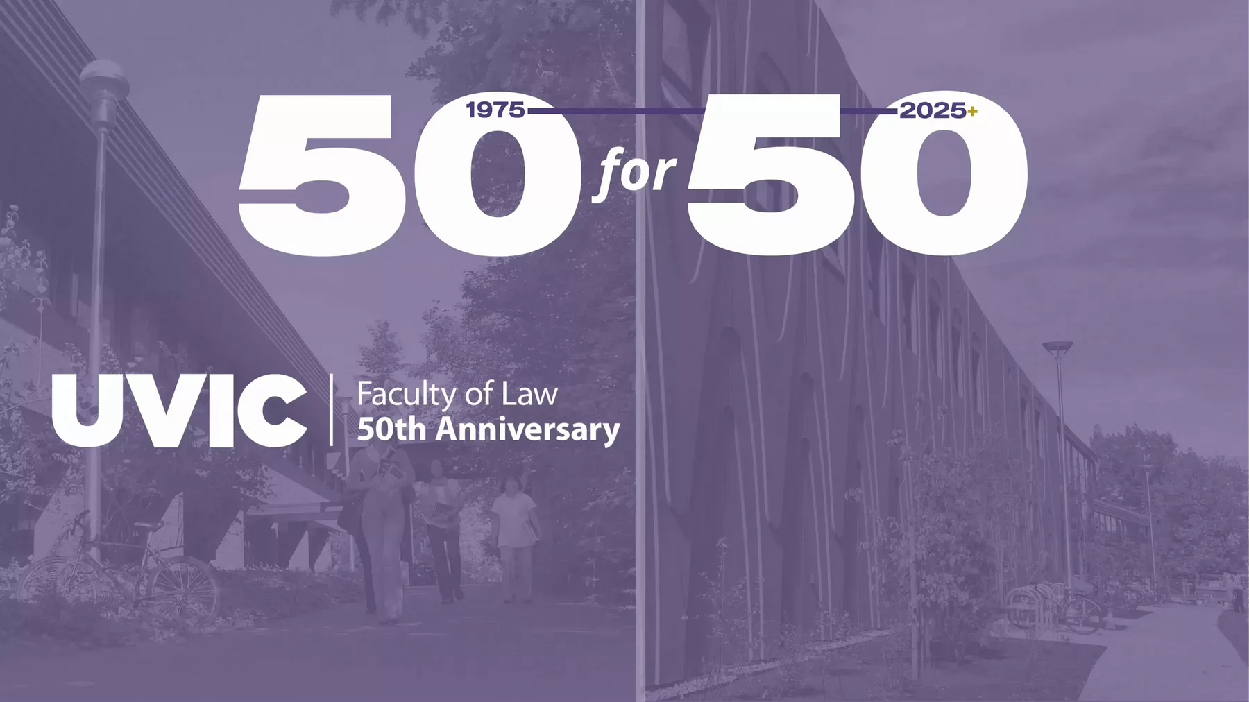 50 for 50 campaign image 