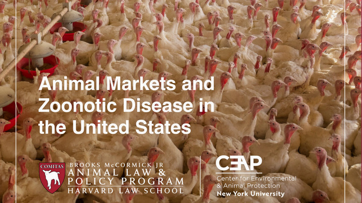 Animal Markets and Zoonotic Disease in the United States (PDF)