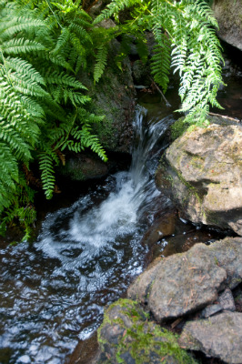 waterlaws