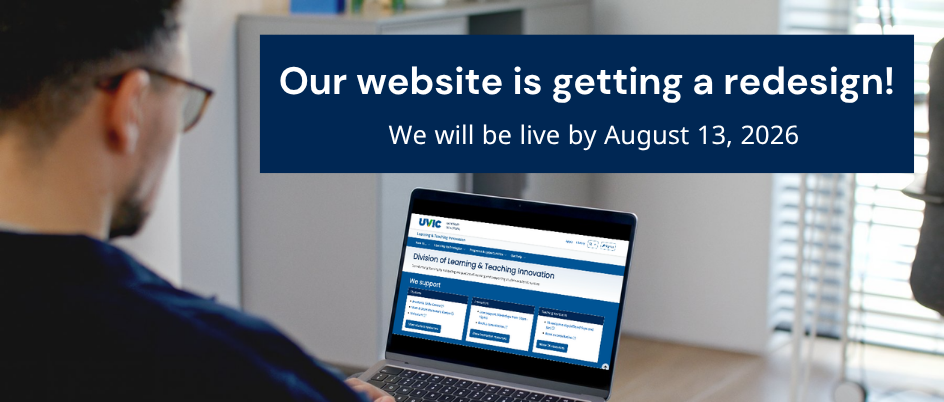 person looking at laptop with new lti website