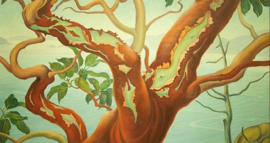 painting of an arbutus tree's trunk and lower branches