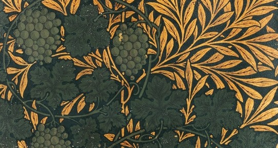 detail of grapes and leaves