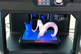 3D image on a scanner bed
