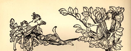 specialized collections