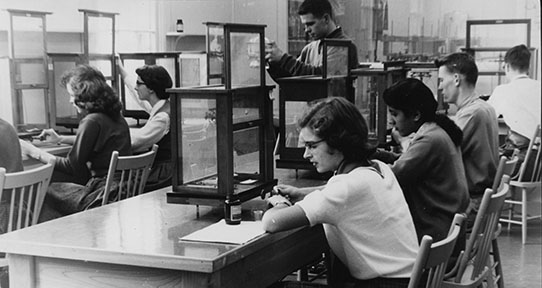 Victoria College students in a Chemistry laboratory doing experiments.