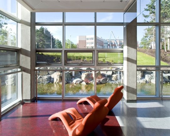 Sunlight streams through the windows of the Mearns - McPherson Library and into a seating area, with the outside pond and landscaping visible.