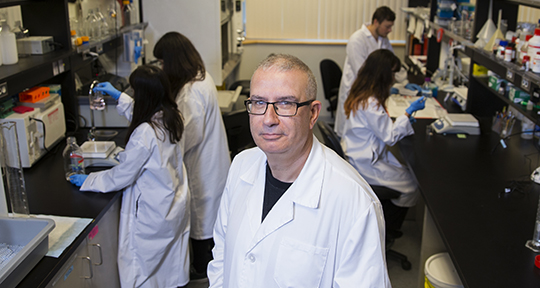 Hector Caruncho Lab