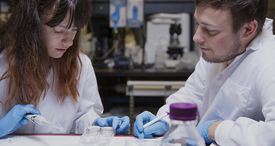 Swayne Lab