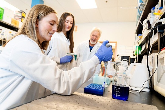 Three people working in a medical sciences lab