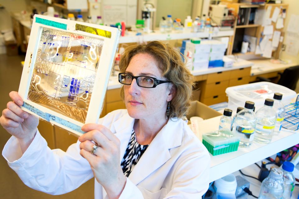 UVic microbiologist Caroline Cameron in her lab at UVic. Photo: UVic Photo Services.