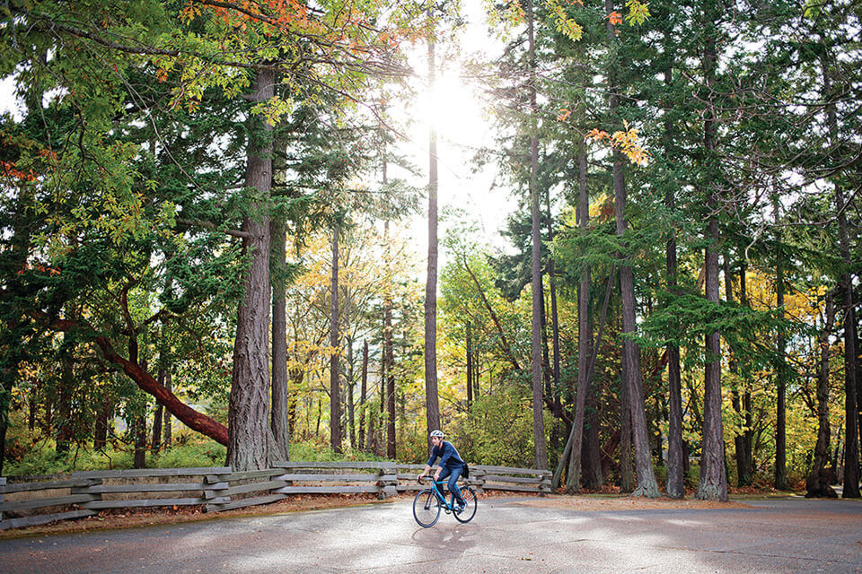 Cyclist riding through the UVic campus