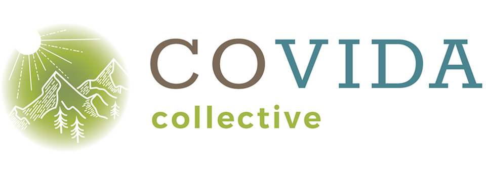 COVIDA logo