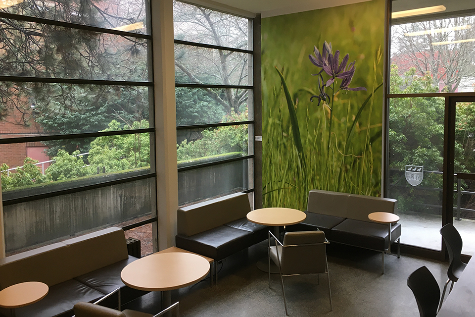 MacLaurin Education Students Lounge