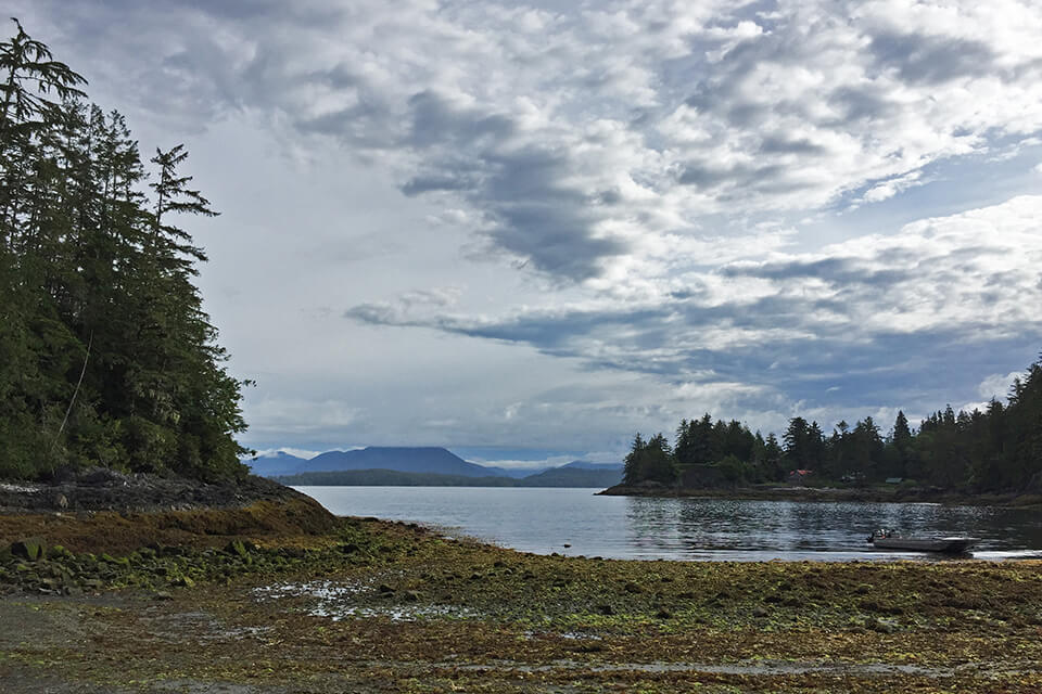 Eagle Bay near the BMSC, which is situated on the traditional territory of the Huu-ay-aht First Nations.