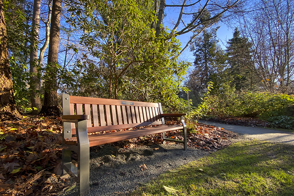 This new bench in Finnerty Gardens stands in remembrance of two UVic students, Emma Machado and John Geerdes, who passed away in September 2019 after a tragic bus accident on the road to Bamfield Marine Sciences Centre.