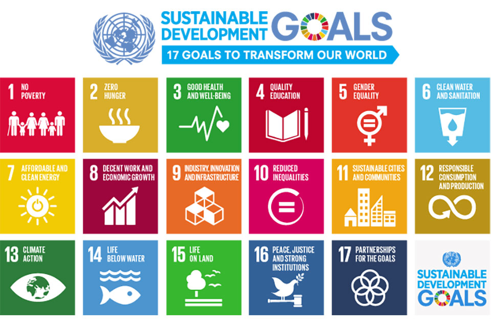 The Social Development Goals icons.