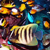 feature photo