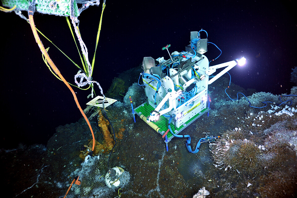 Ocean observing instruments provide real-time monitoring of hydrothermal vent communities 
