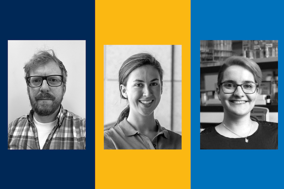 Three UVic researchers pictured in a graphic.
