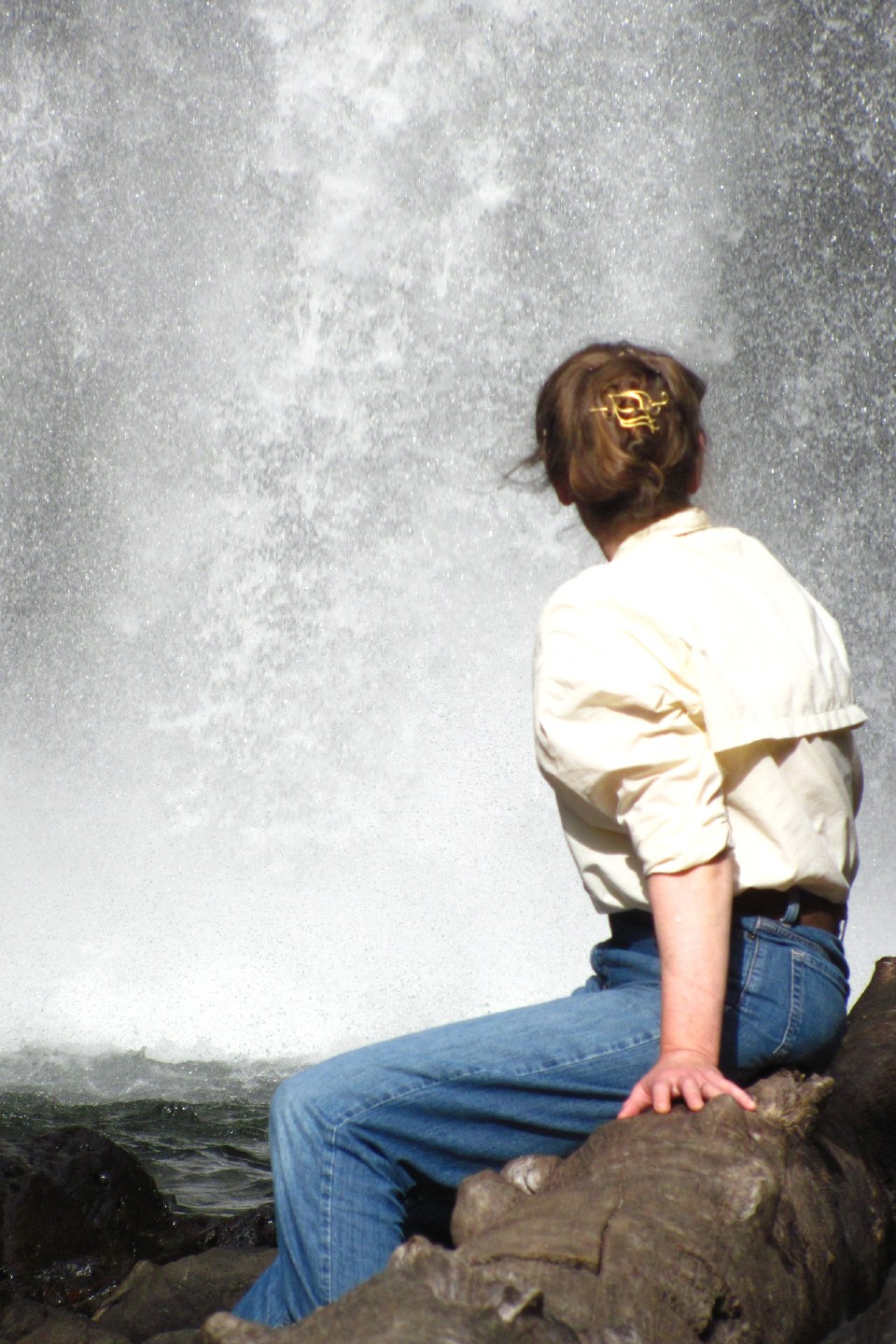 Jan Zwicky by a waterfall