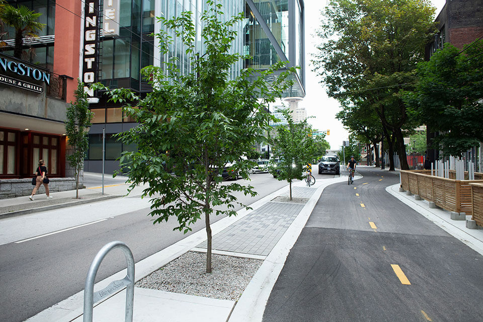 A tree trench installed on Vancouver's Richard Street. Credit: City of Vancouver Engineering.