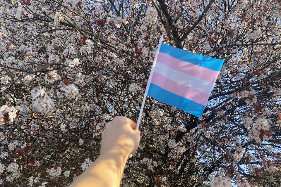 Hand holding trans flag