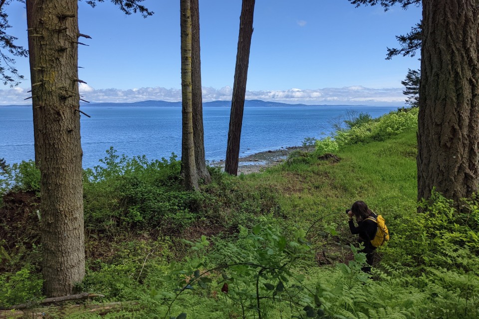 Fieldwork at ȾEL¸IȽĆE, Cordova Bay