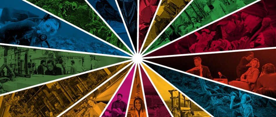 Colour composite wheel of sustainable development goals.