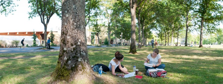 People sitting in the shade