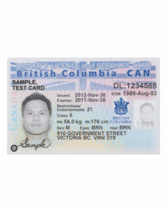 Drivers License