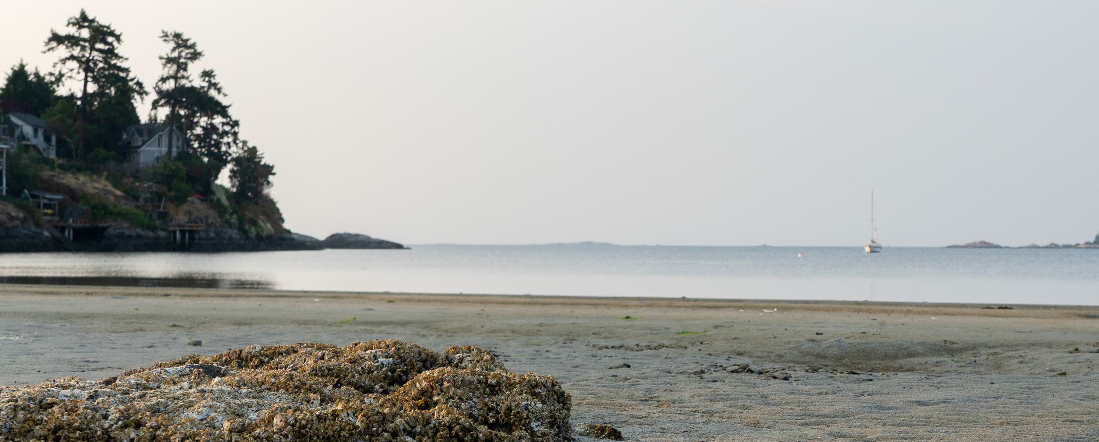 Beach scene