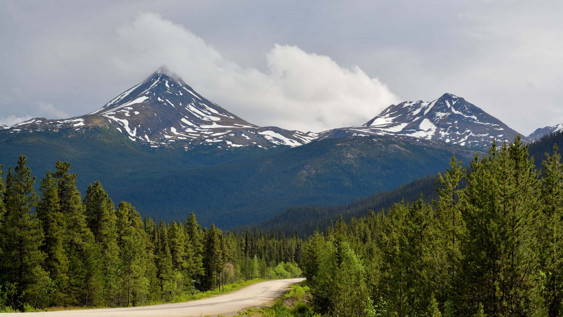 Mountain-view with a road through forest in the foreground