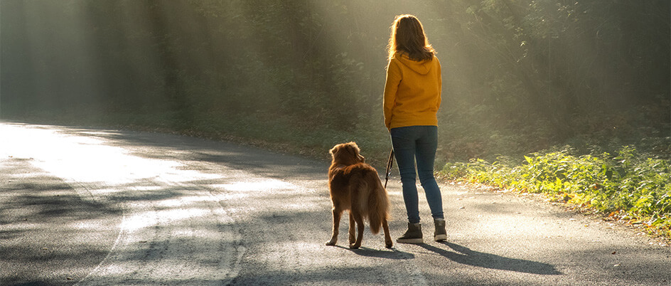 A women and a dog on a leash walking down a lane dappled with sunlight.